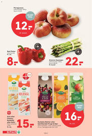 SPAR tilbudsavis uge 29 Side 2