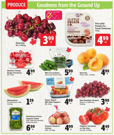 Quality Foods flyer week 29 Page 2