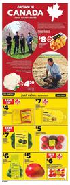 Loblaws flyer week 29 Page 10