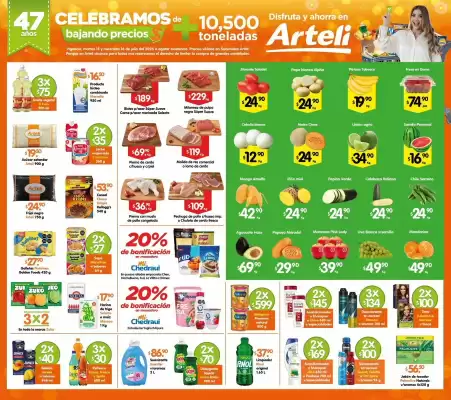 Catálogo Arteli