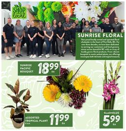 Nesters Market flyer Page 3