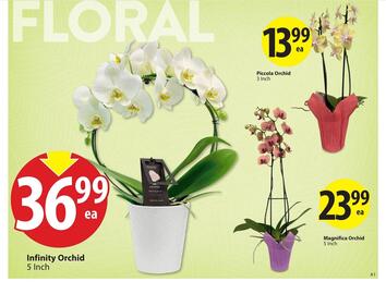 Save on Foods flyer Page 4