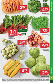 Stokrotka Market gazetka tydzień 29 Strona 11