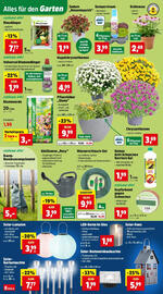 Thomas Philipps Flugblatt woche 30 Seite 2