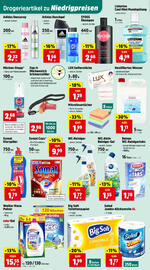 Thomas Philipps Flugblatt woche 30 Seite 6