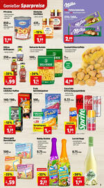 Thomas Philipps Flugblatt woche 30 Seite 7