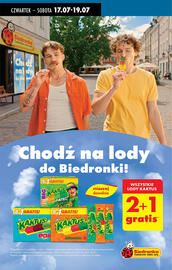 Biedronka gazetka tydzień 29 Strona 48