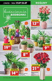 Biedronka gazetka tydzień 29 Strona 72