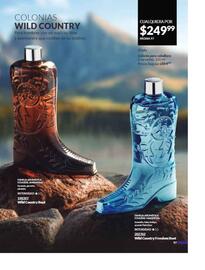 Catálogo Avon Página 102