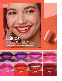 Catálogo Avon Página 17