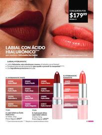 Catálogo Avon Página 29
