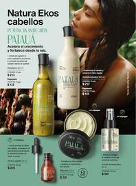 Catálogo Natura Página 107