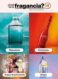 Catálogo Natura Página 14