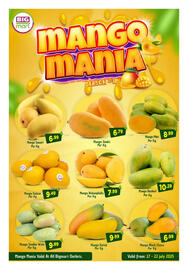 Bigmart catalogue Page 2