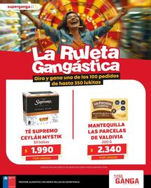 Catálogo Super Ganga Página 5