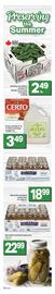 Shop Easy Foods flyer Page 3