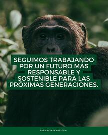 Catálogo Nautica Página 6