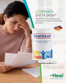 Catálogo Nautica Página 7