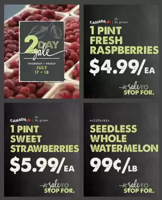 The Root Cellar flyer (valid until 23-07)