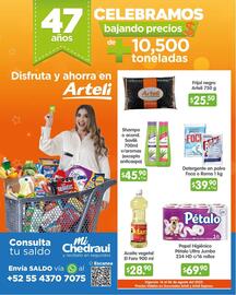 Catálogo Arteli express Página 8