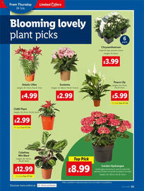 Lidl leaflet week 30 Page 22