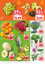 Kaufland gazetka tydzień 29 Strona 17