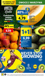 Lidl gazetka Strona 20