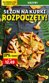 Lidl gazetka Strona 22