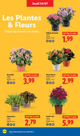 Catalogue Lidl semaine 30 page 28