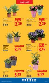 Catalogue Lidl semaine 30 page 29