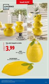 Catalogue Lidl semaine 30 page 41