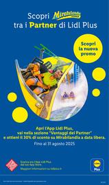 Volantino Lidl settimana 30 Pagina 29