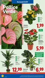 Volantino Lidl settimana 30 Pagina 30