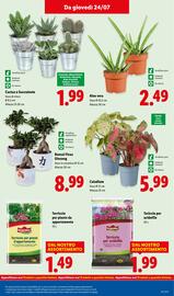 Volantino Lidl settimana 30 Pagina 31