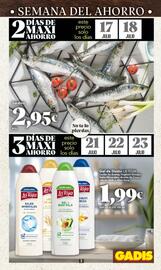 Folleto Gadis semana 29 Página 3