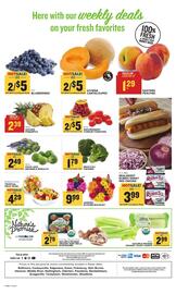 Food Lion Weekly Ad week 29 Page 8