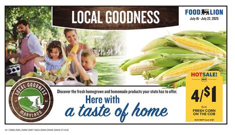 Food Lion Weekly Ad week 29 Page 9