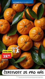 Lidl leták Strana 10