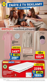 Lidl leták Strana 30