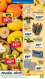 Lidl leták Strana 9