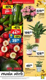 Lidl leták Strana 9