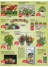 V Markt Prospekt woche 30 Seite 14