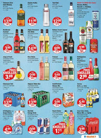 V Markt Prospekt woche 30 Seite 9