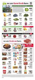 ShopRite Weekly Ad week 29 Page 9