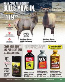 Cabela's Weekly Ad Page 343