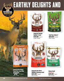 Cabela's Weekly Ad Page 348