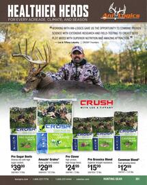 Cabela's Weekly Ad Page 351
