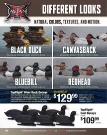 Cabela's Weekly Ad Page 422