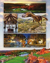 Cabela's Weekly Ad Page 589