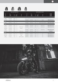 Catalogue Bihr page 119